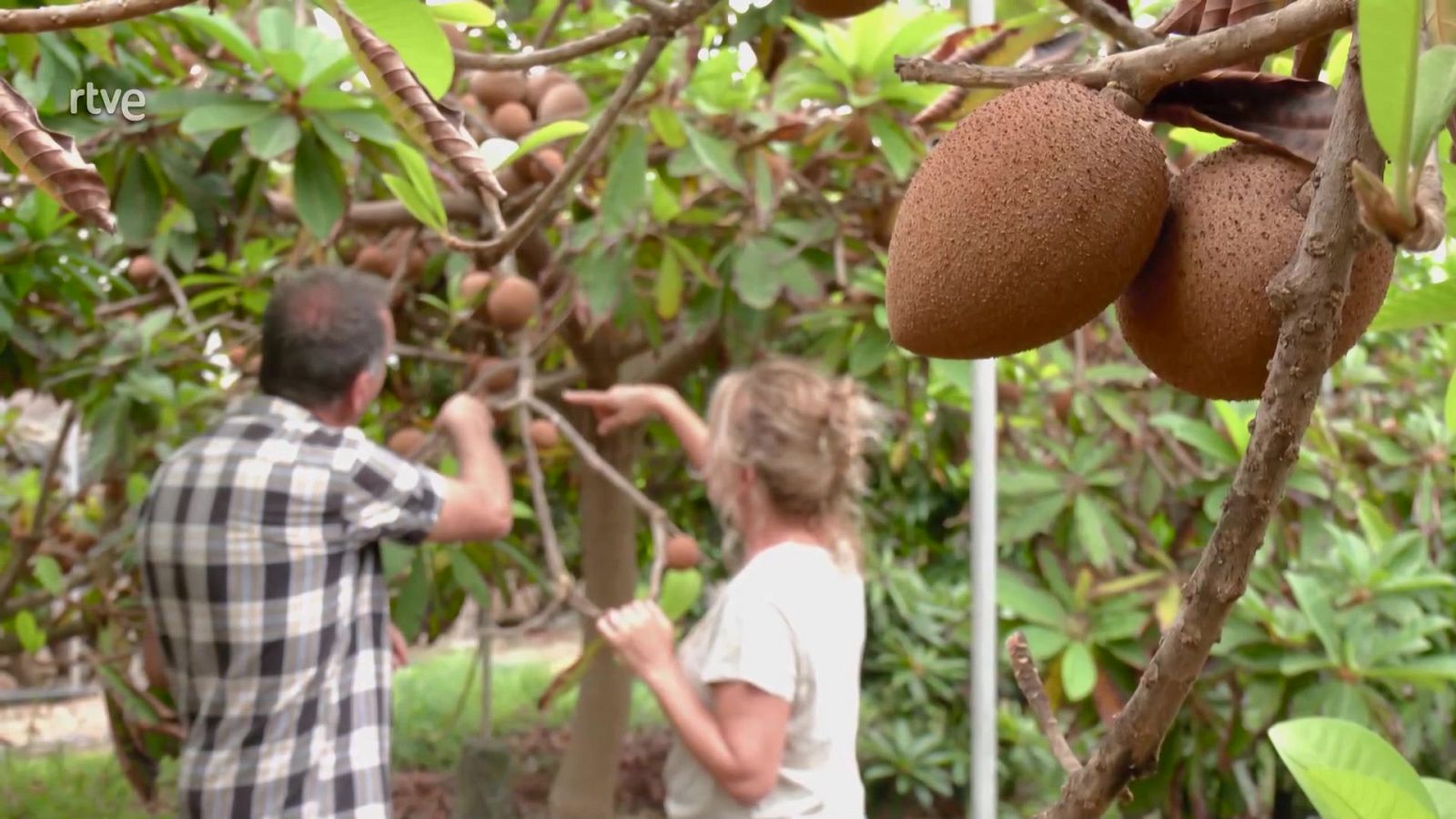 Aquí la Tierra - 06/10/24 - ver ahora