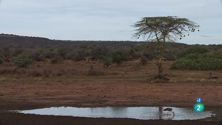 Som Documentals - Perseguint la pluja: Resant perquè plogui