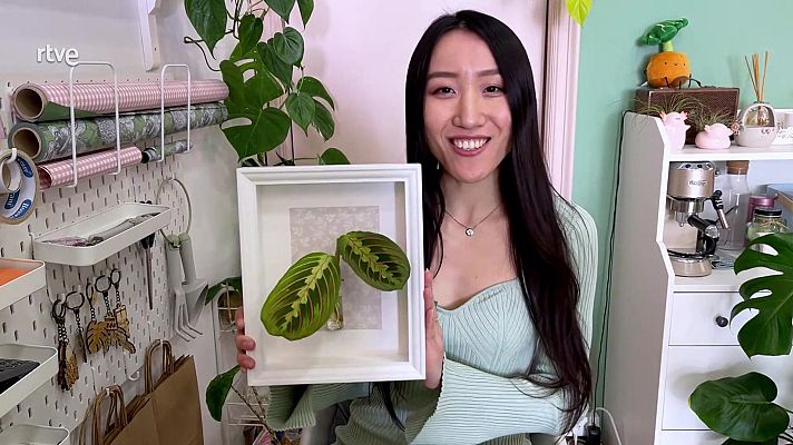 Va de verd - Quadres vius