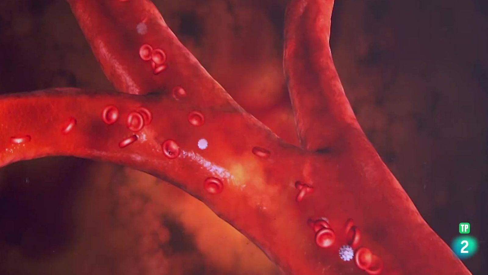 Luis Quevedo. Investigaciones científicas | Ver