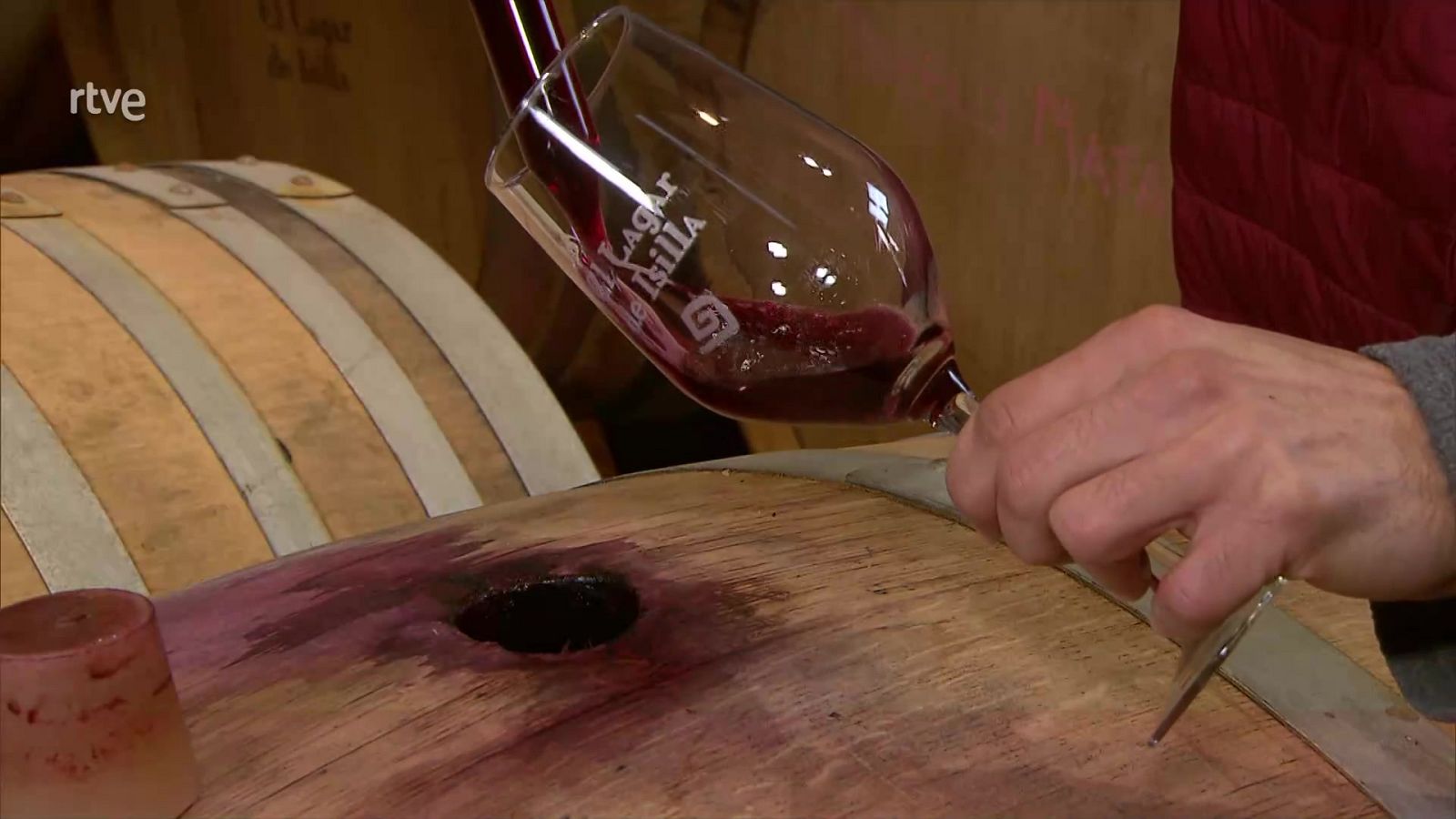 Vitaevino en el Congreso | Ver