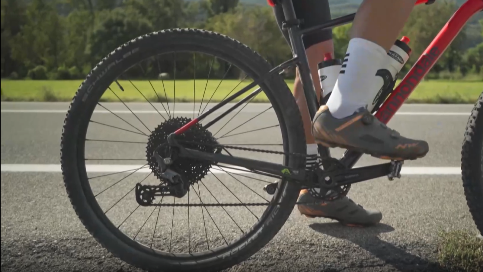 Insomnio familiar fatal, una enfermedad ultrarrara sin tratamiento | Ver