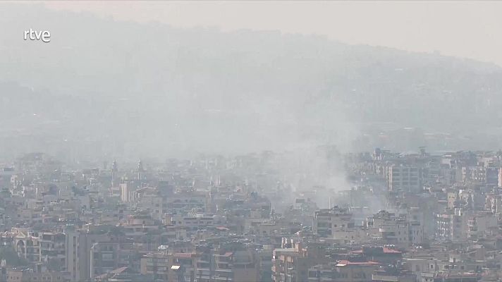 Diario 24 - Diario 24 - 08/10/24