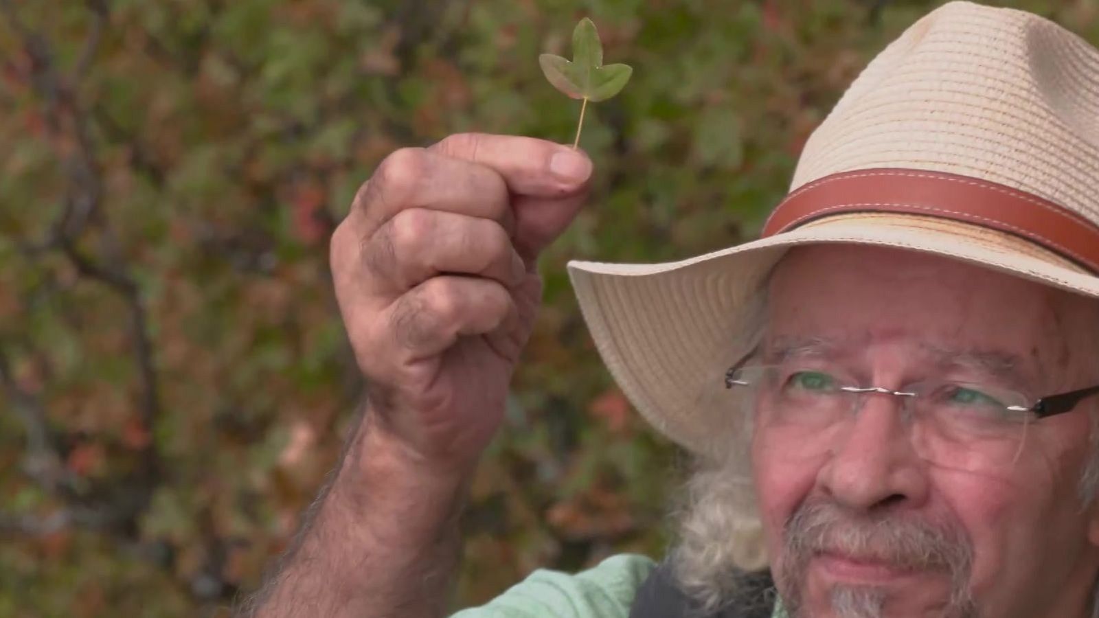 Aquí la Tierra-Juan Plantas y el arce | Ver