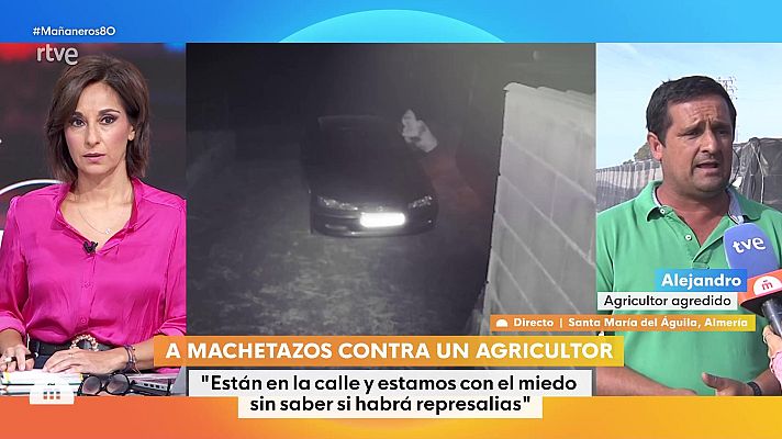 Mañaneros 360 - Programa 264