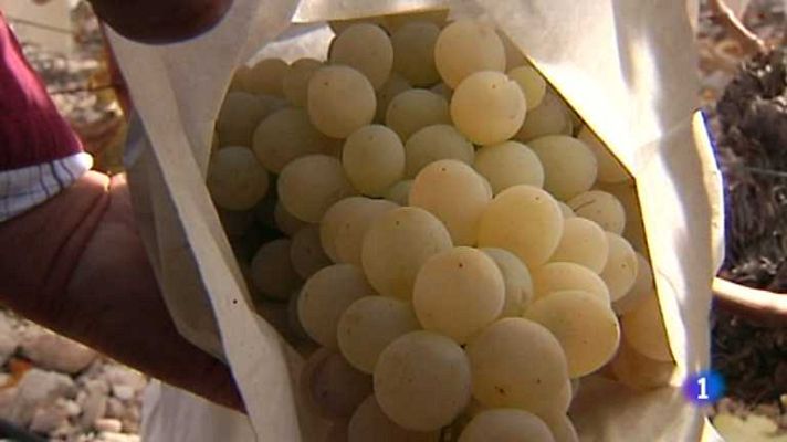 L'informatiu - Comunitat Valenciana - La Comunidad Valenciana en 2' - 28/12/12