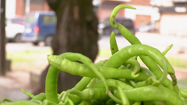 Aquí la Tierra - Las Piparras