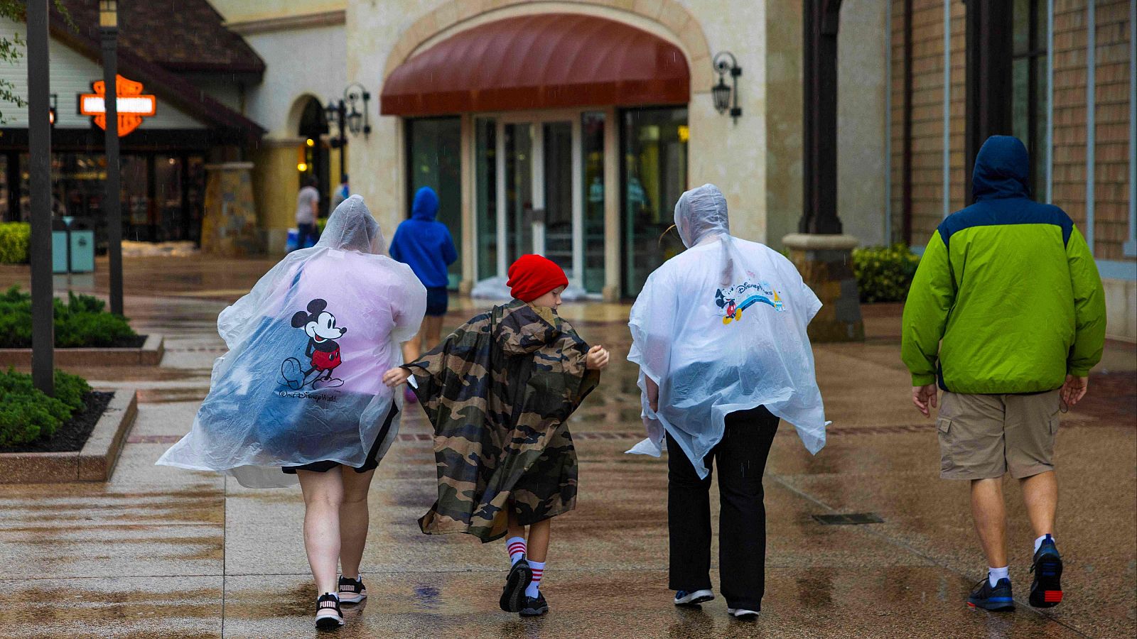 Informativo 24 horas - 20h - 09/10/24 - ver ahora