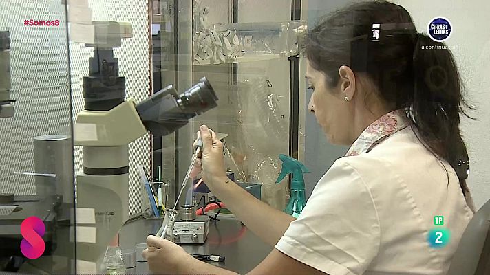 Somos 8 - Somos 8 - 09/10/2024