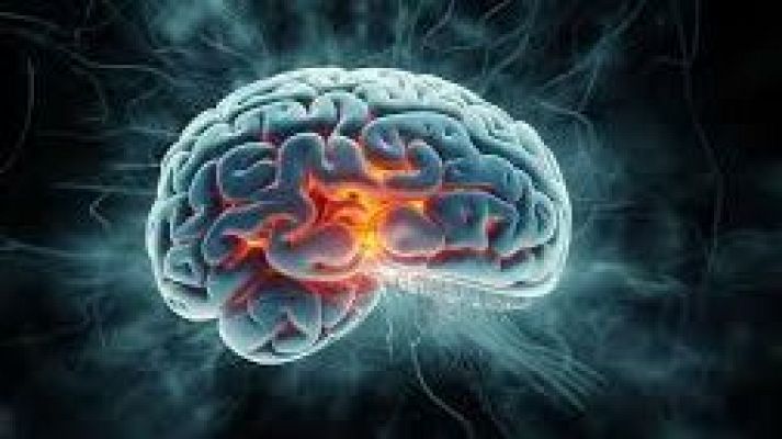 Para todos La 2 - Para Todos La 2 - El cerebro. David del Rosario