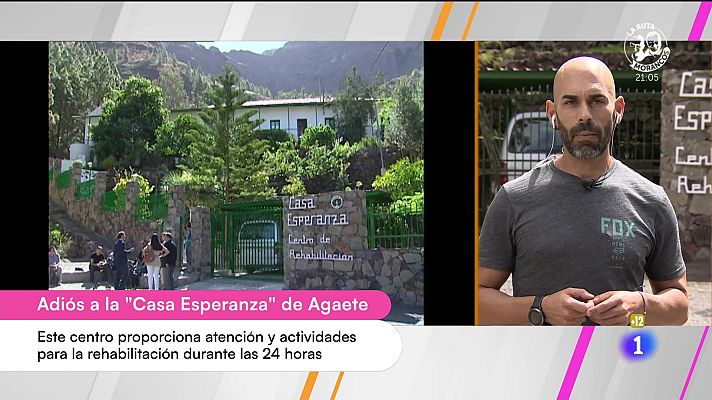 Cerca de ti - Cerca de ti - 11/10/2024