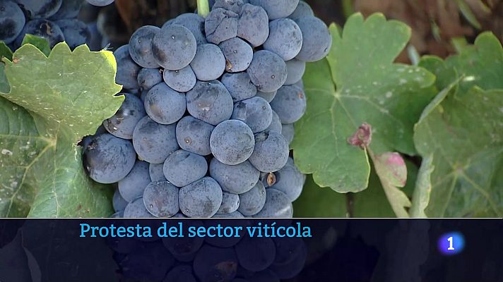 Informativo Telerioja - Informativo Telerioja 2 - 11-10-2024 - ver ahora