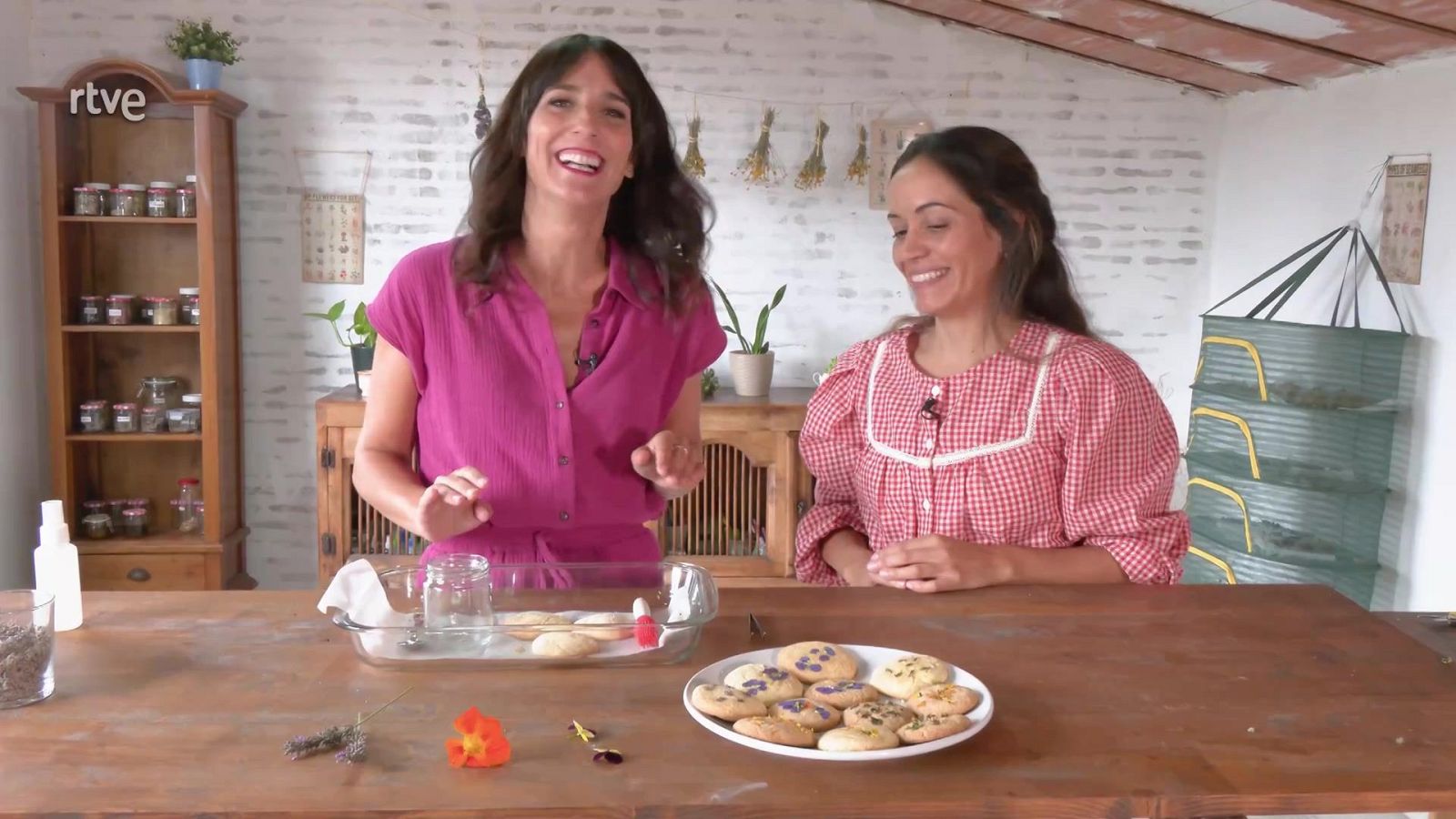 Polvo de flores - Aquí la Tierra | Ver