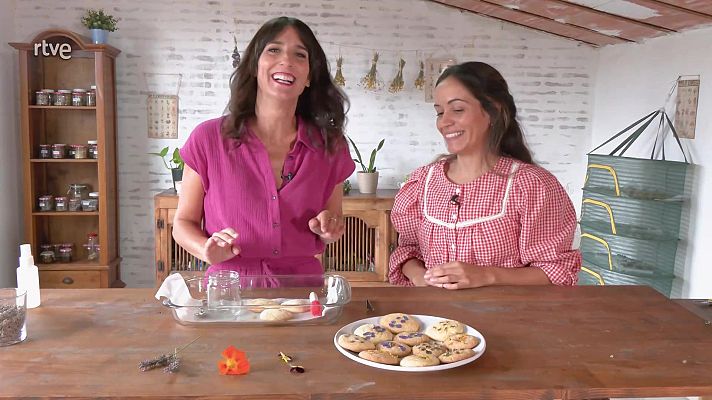 Aquí la Tierra - Polvo de flores