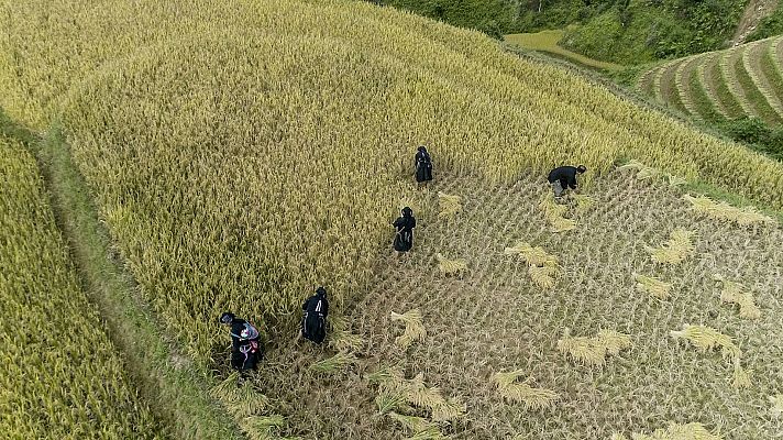 Los seis continentes al descubierto - Asia