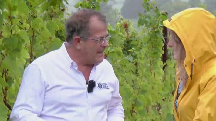 Aquí la Tierra - Bodega Bahía Santander