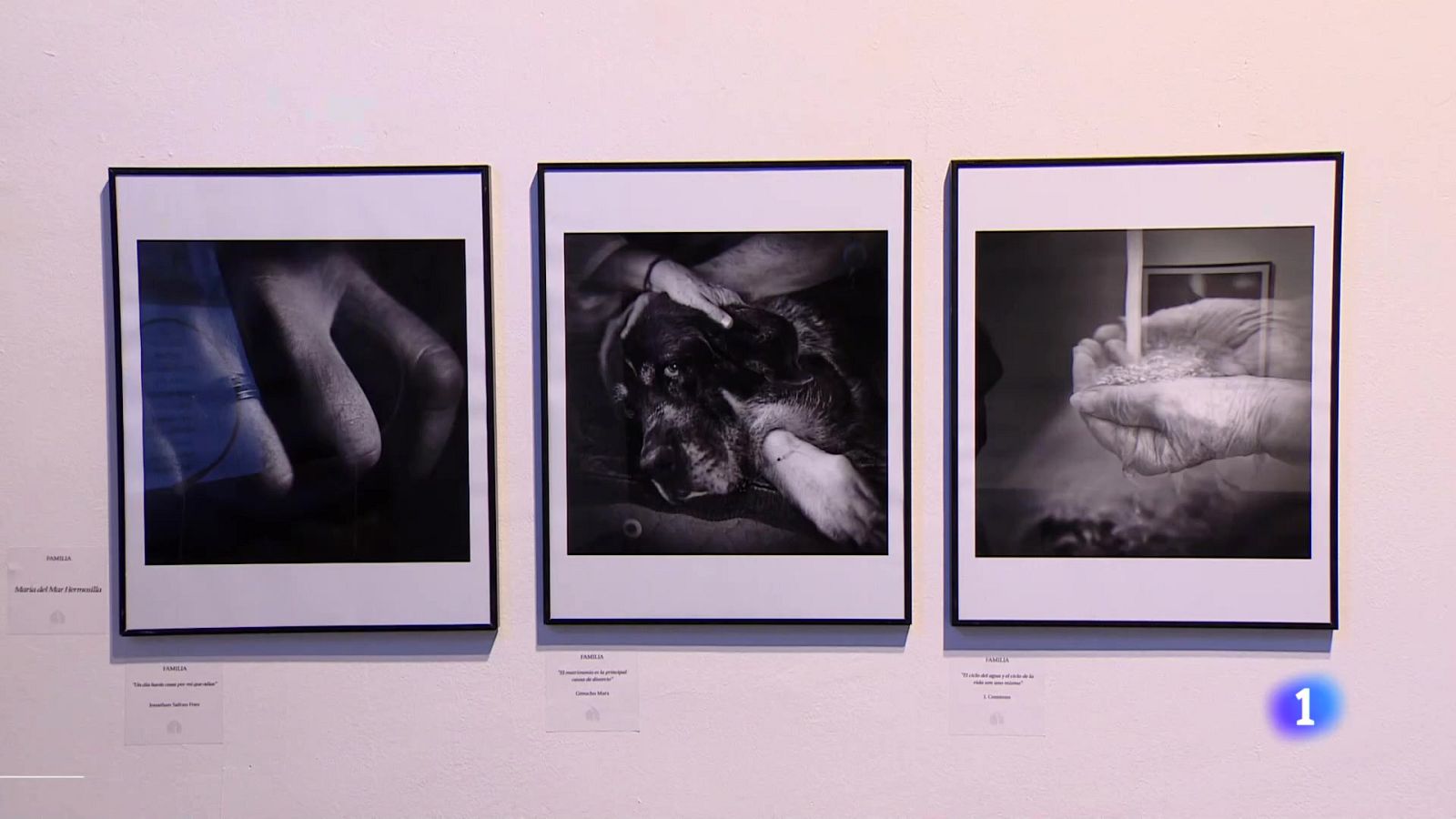 Informativo Telerioja - 14-10-2024 | Ver