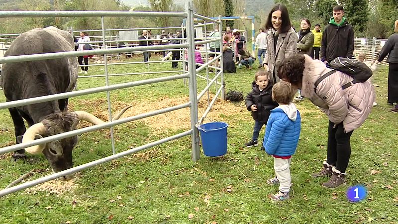 Informativo Telerioja 2 - 14-10-2024 | Ver