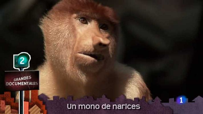 Lo que hay que ver ... - Lo que hay que ver - 29/12/12