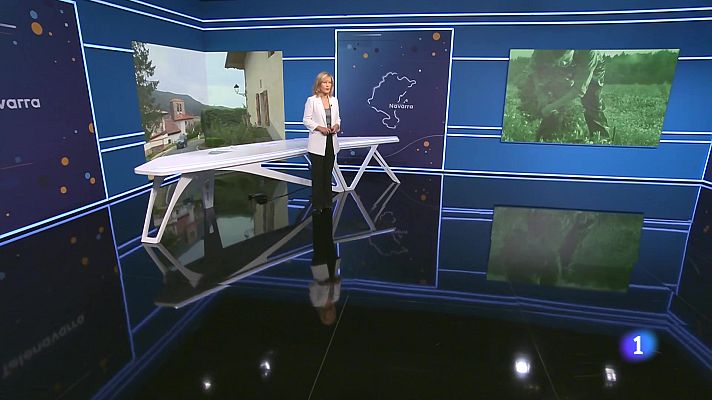 Telenavarra - Telenavarra en 2' -  15/10/2024