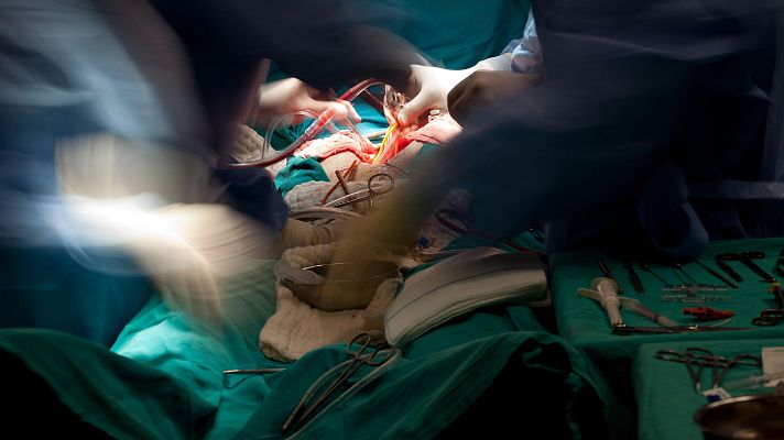 Telediario 1 - Una doctora española, entre los tres mejores cirujanos vasculares jóvenes del mundo