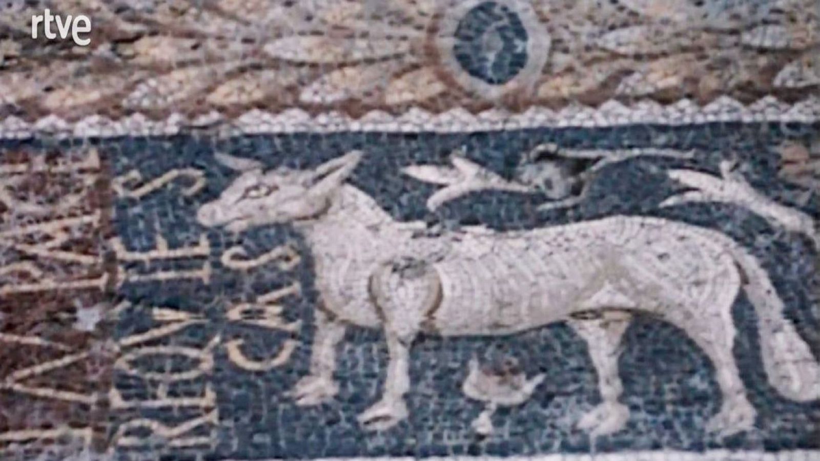 Necròpolis Romana i Cristiana de Tarragona - Ara Tarragona | Veure