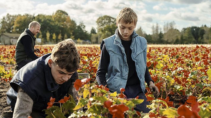 Close | Ver películas gratis en RTVE Play - Cine internacional | Ver película