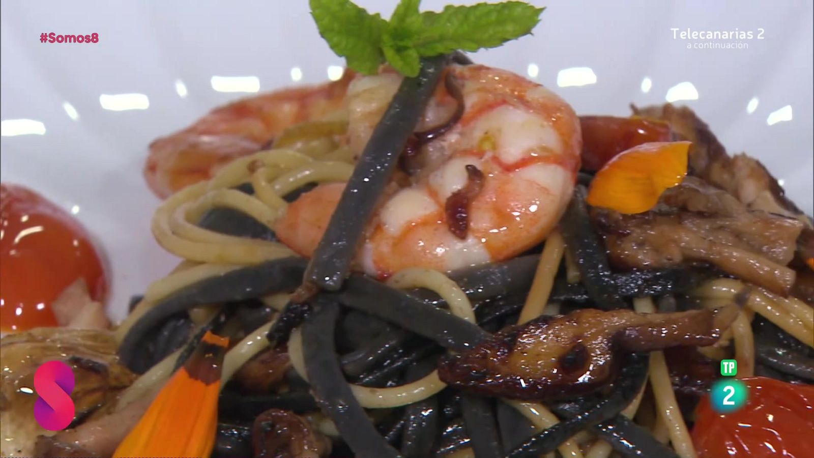 Somos 8 - 16/10/2024 - Somos 8 | Ver