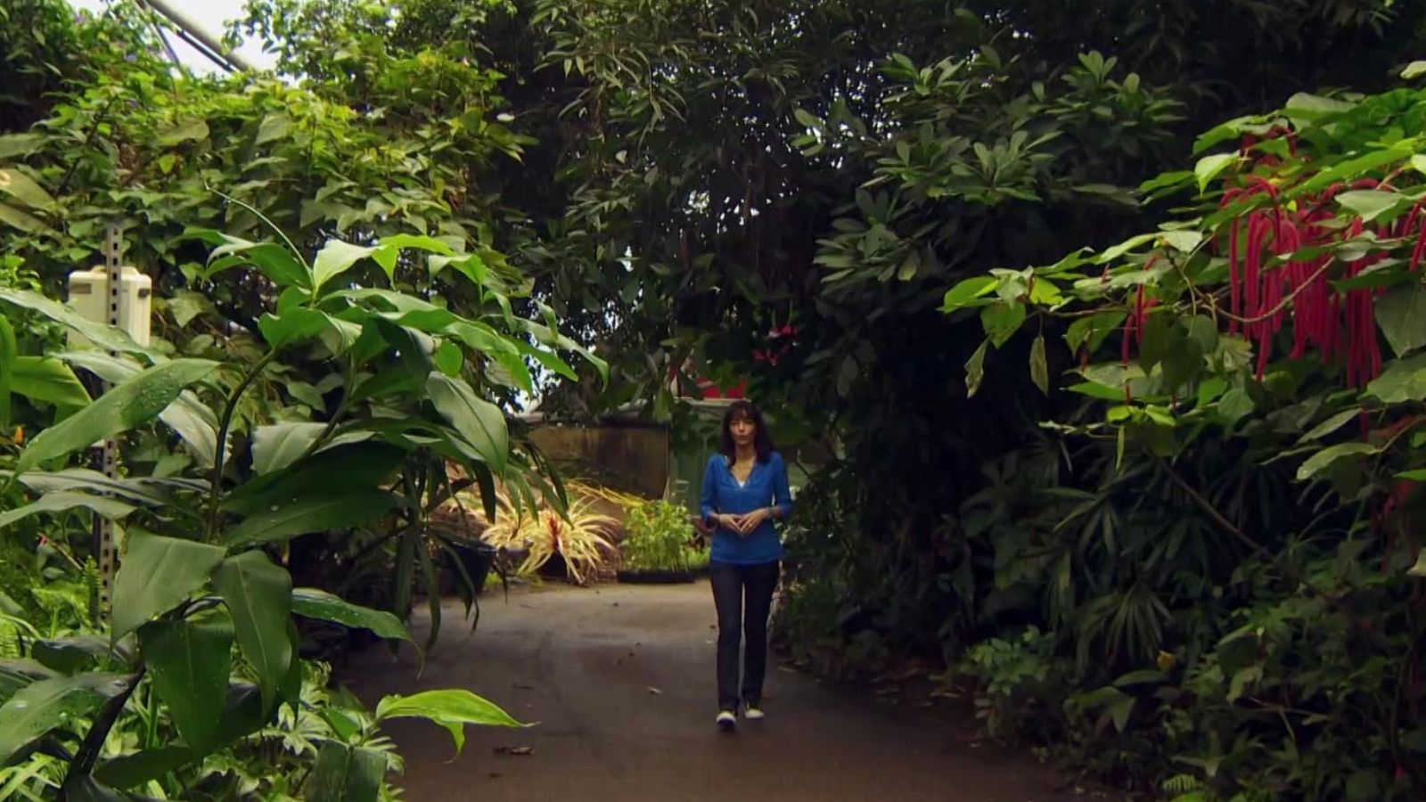 That's English - Intermedio B2.1 - Unit 2B: Wonders of the world - ver ahora