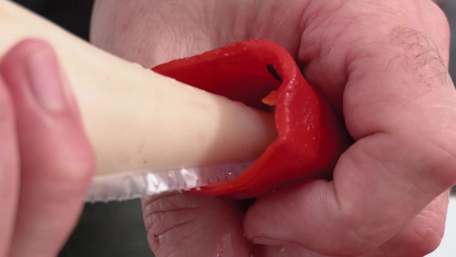 Pimientos rellenos | Ver