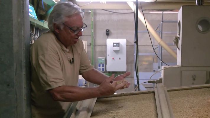 Aquí la Tierra - Campo molino