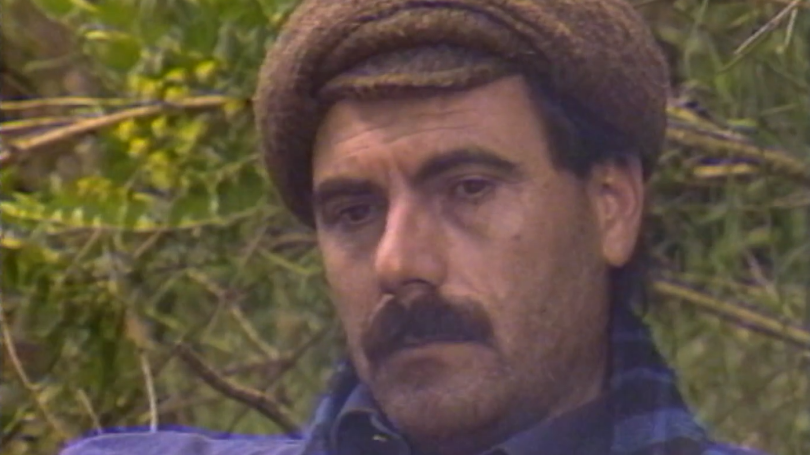 El maquis a Catalunya 1939-1963 - Arxiu TVE Catalunya - El maquis a Catalunya | Veure