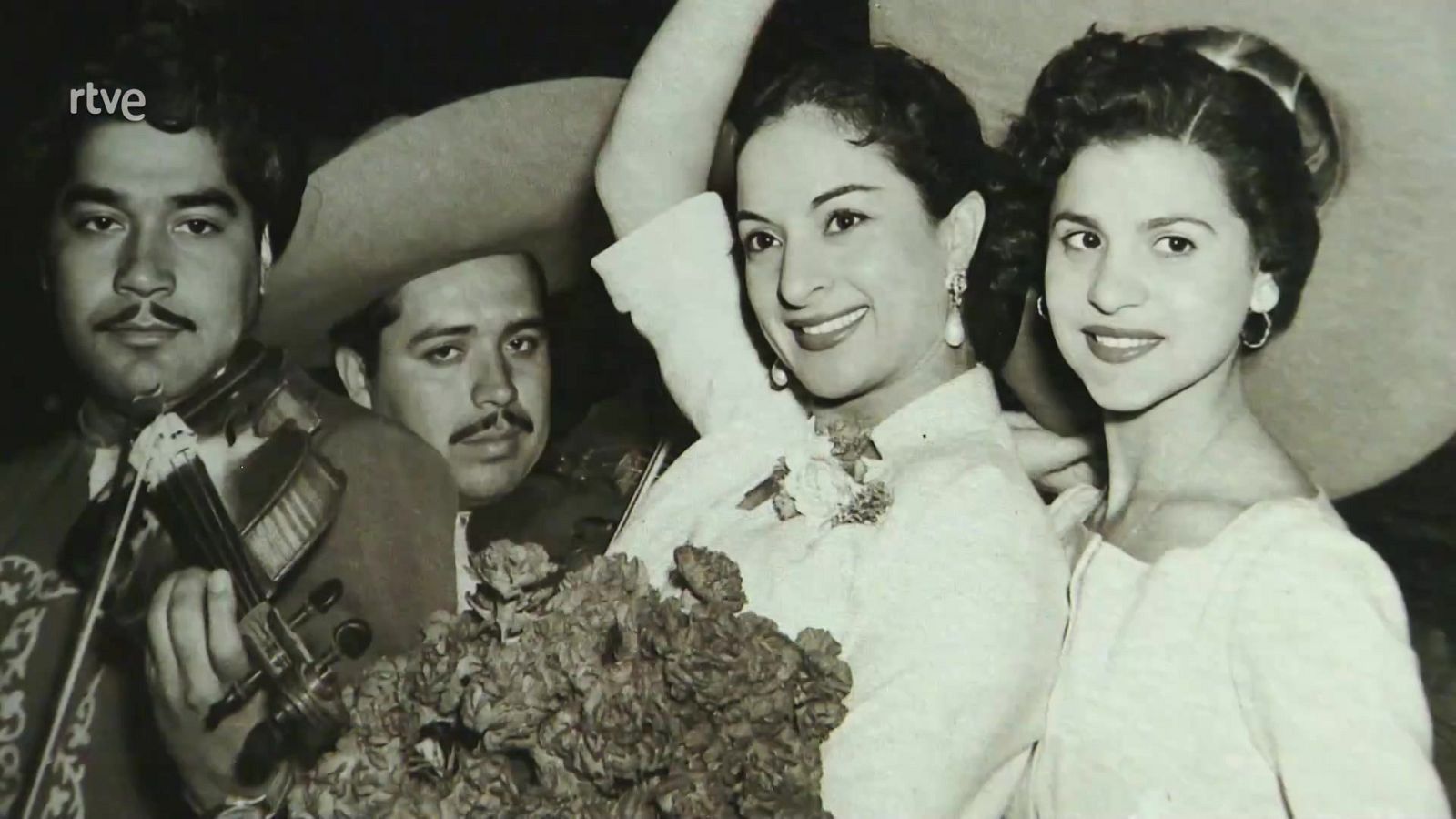 Viaje al centro de la tele - Flores eternas - ver ahora