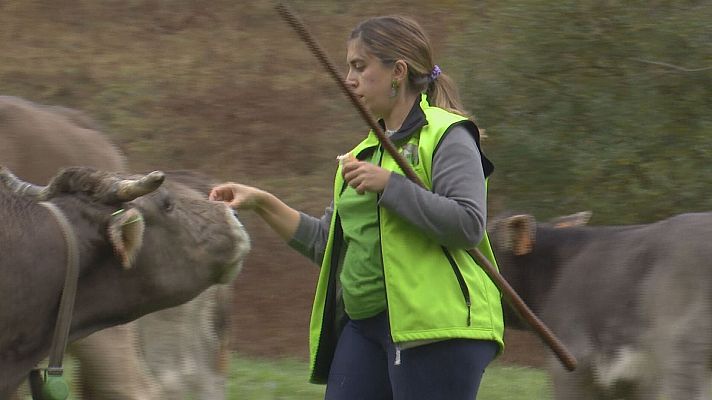 Agrosfera - Agrosfera - 19/10/24