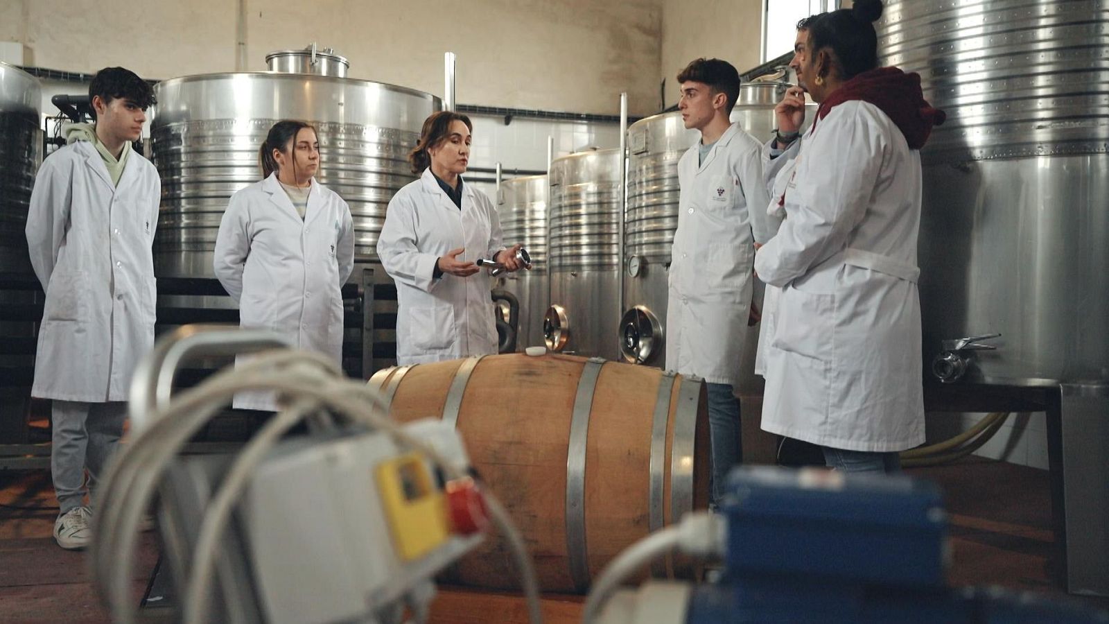 Yo soy de formación profesional - Ceuta y Andalucía - ver ahora