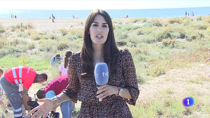 Se celebra la 7a edició de l'acció Platges Met - L'Informatiu | Veure