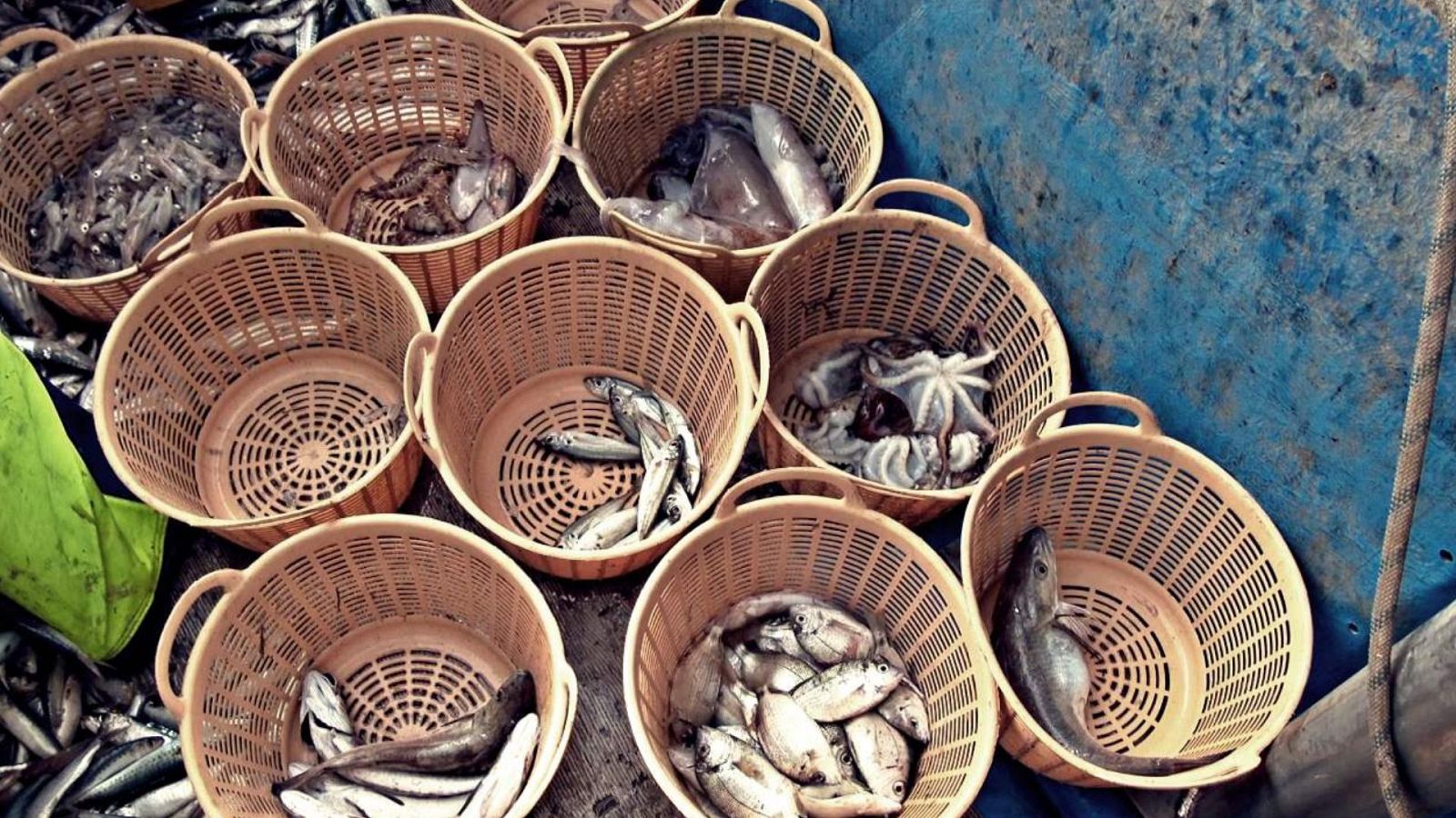 El chef del mar - Sanlúcar - Denia - ver ahora