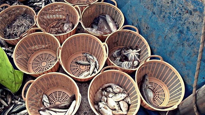 El chef del mar - Sanlúcar - Denia