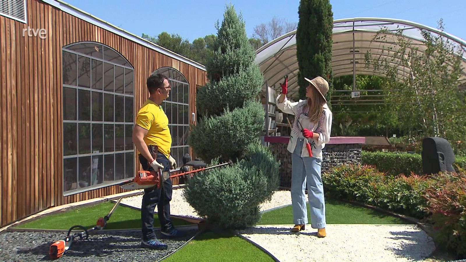 Poda - Va de Verd | RTVE Catalunya - Va de verd | Veure