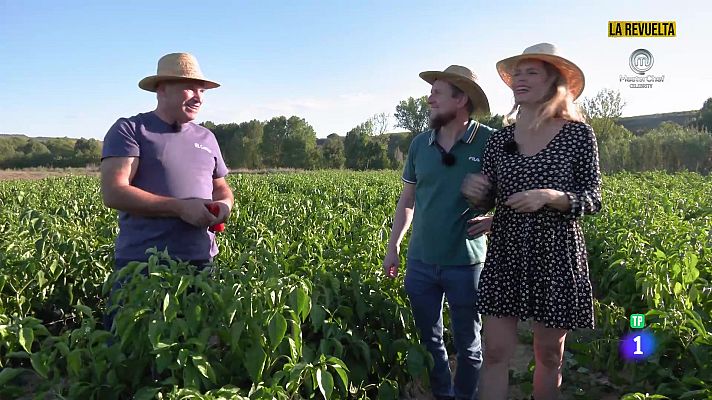 Aquí la Tierra - Temporada de pimientos