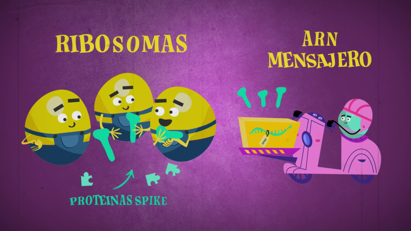 Vacunas ARN Mensajero. Hitos del SXXI - �rbita Laika | Ver