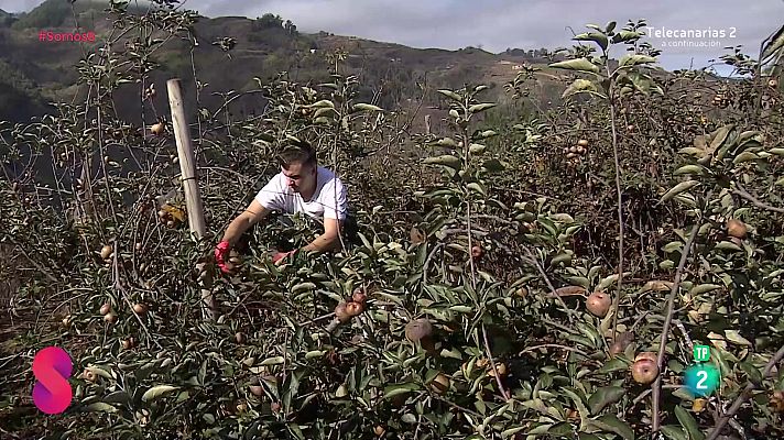 Somos 8 - Somos 8 - 22/10/2024