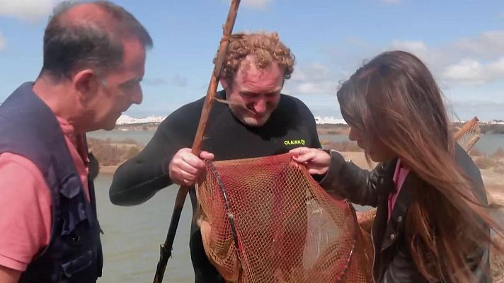 Aquí la Tierra - El Estero de Chiclana