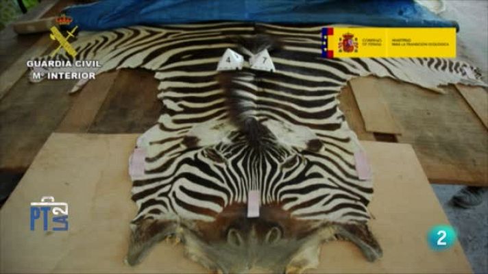 Para todos La 2 - Tráfico ilegal de especies animales