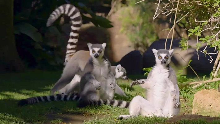 Aquí la Tierra - Aquí la Tierra - 23/10/24