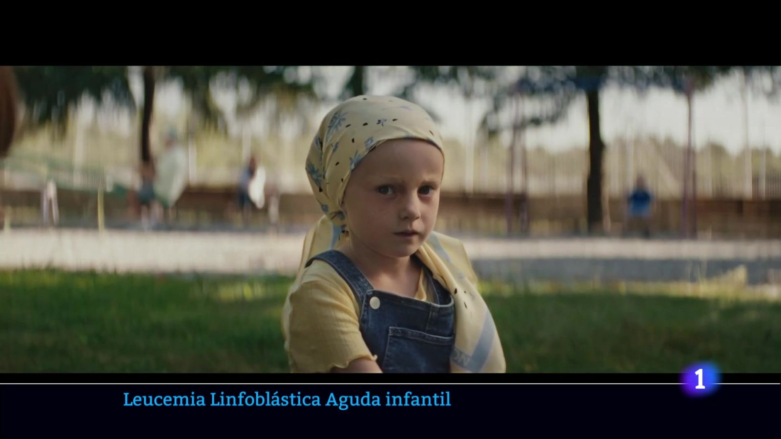 L'Informatiu de la Comunitat Valenciana 2 - 24/10/24 | Ver