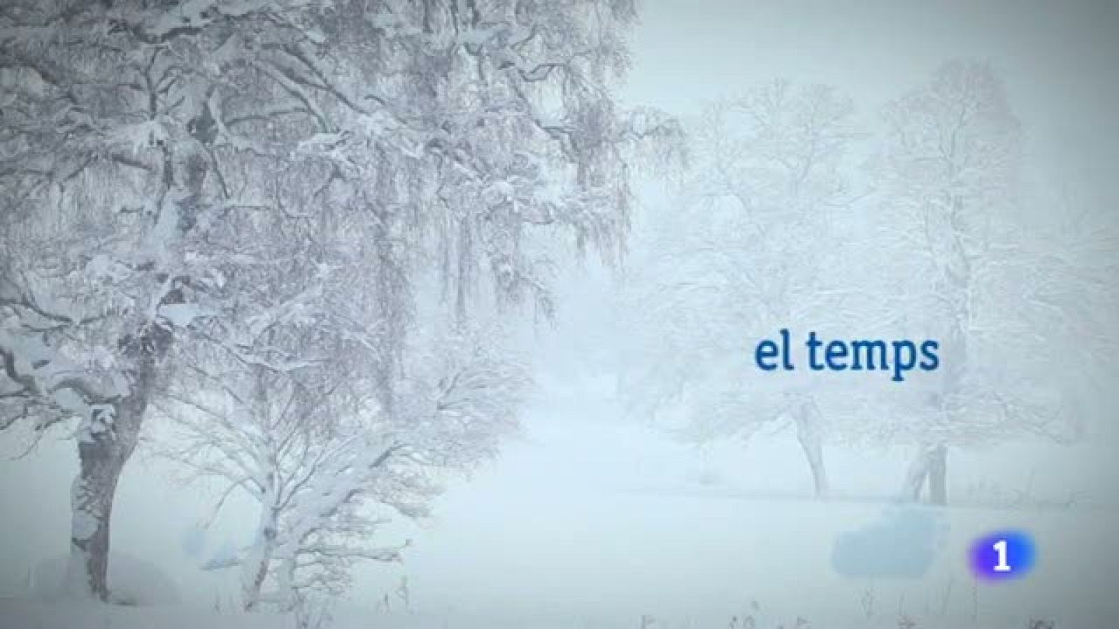 El temps - 31/12/12