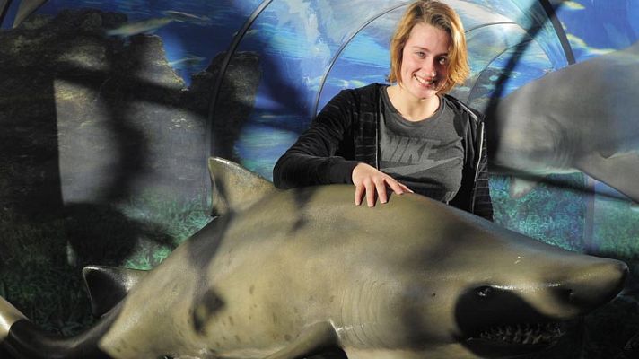 Telediario 1 - Mireia Belmonte, entre tiburones