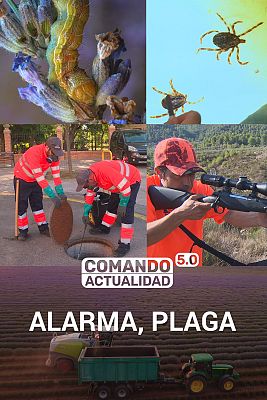 Comando Actualidad - Alarma, plaga