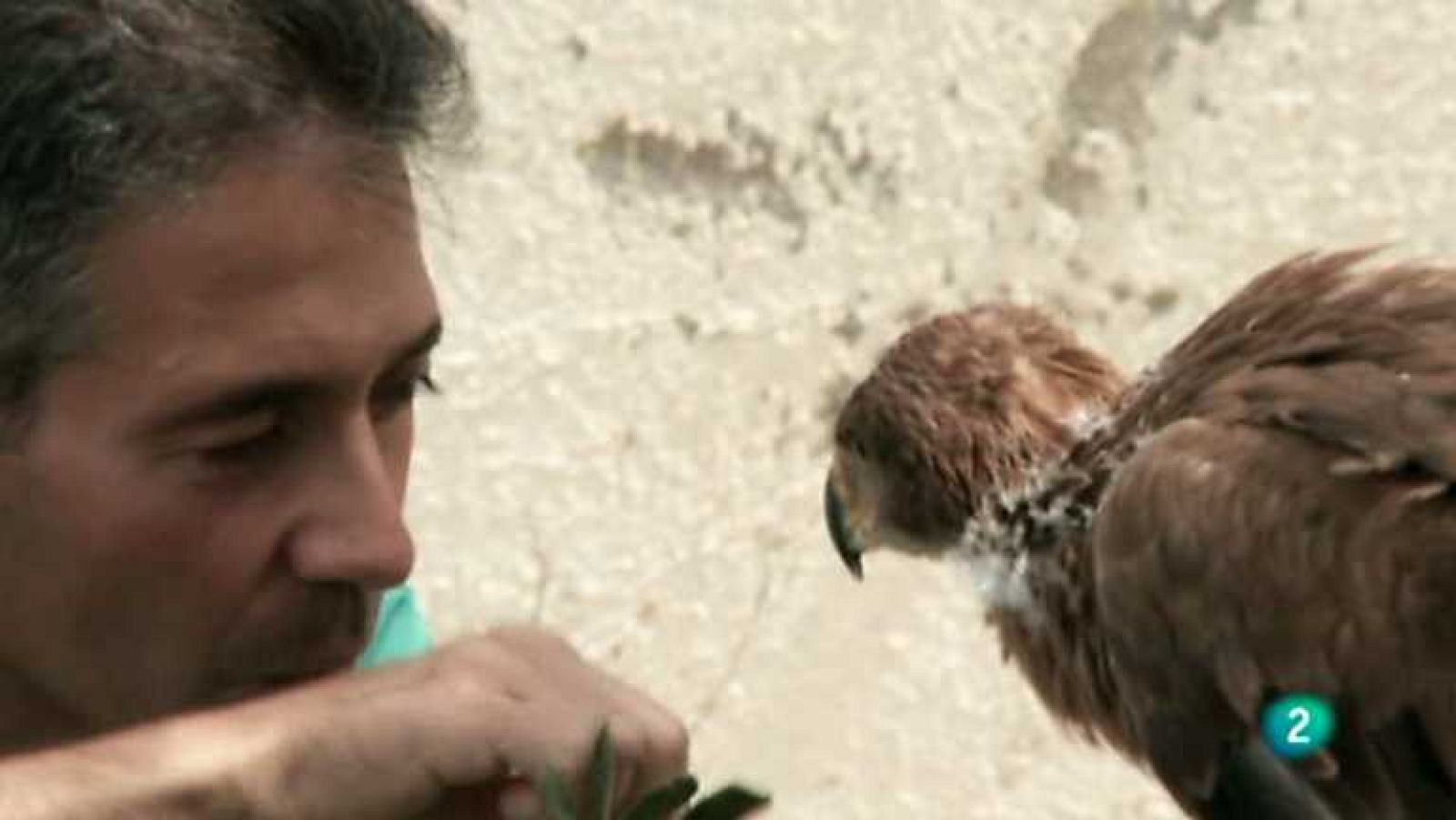 Biodiario - 31/12/12 - Ver ahora